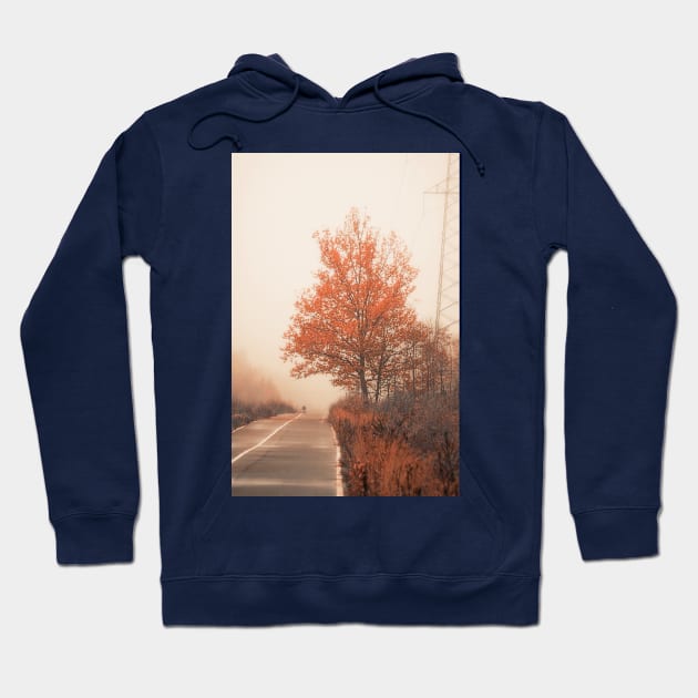 Autumn Road Hoodie by cinema4design